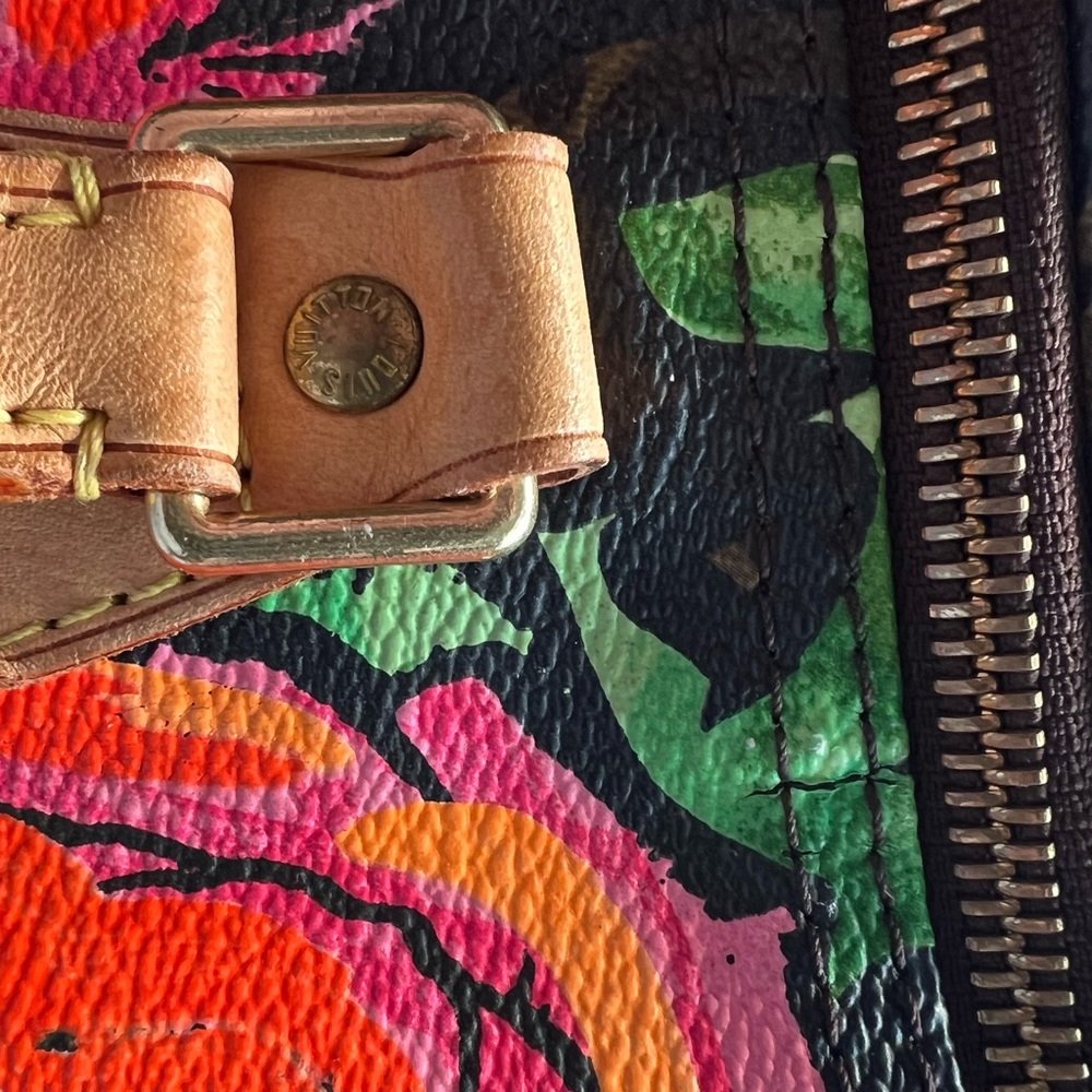 LOUIS VUITTON Steven Sprouse Monogram Roses Speedy 30 Limited Edition 2008 - Picture 6 of 16